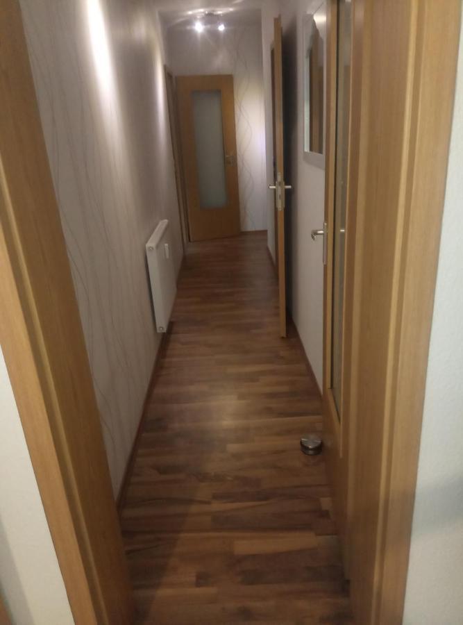 רייכנבאך אים פוגטלנד Ferienwohnung Rickyy מראה חיצוני תמונה